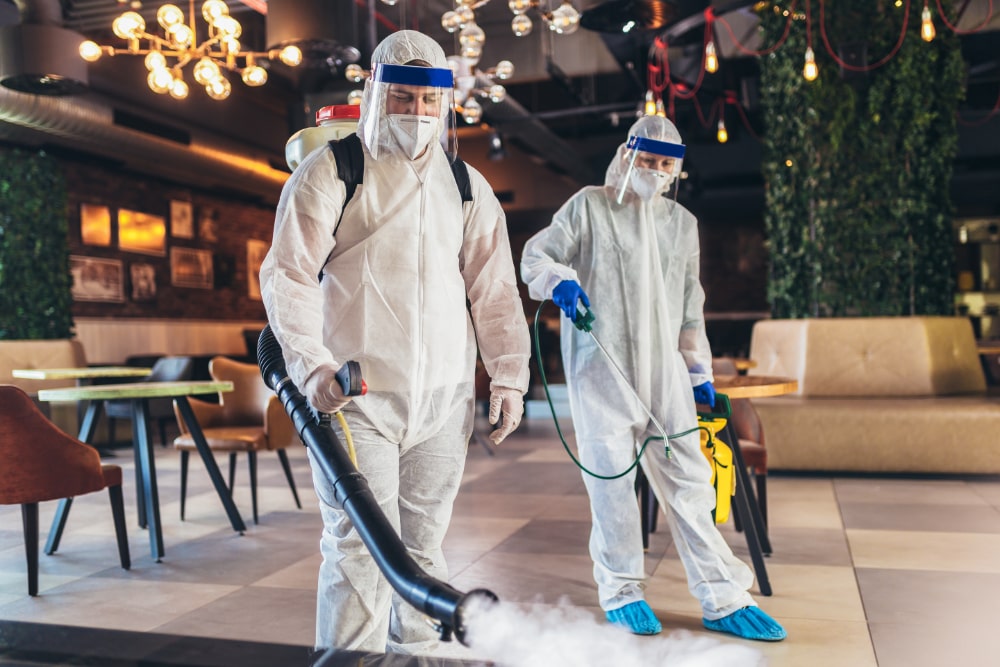 coronavirus decontamination cleaning Dorset