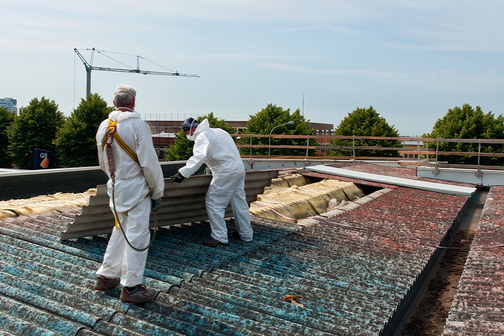 importance of asbestos removal